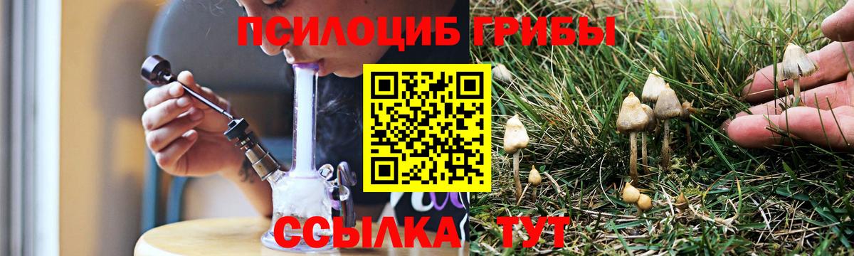 Кимры  Галлюциногенные грибы Cubensis  Галлюциногенные грибы MAGIC MUSHROOMS  Вход с VPN 